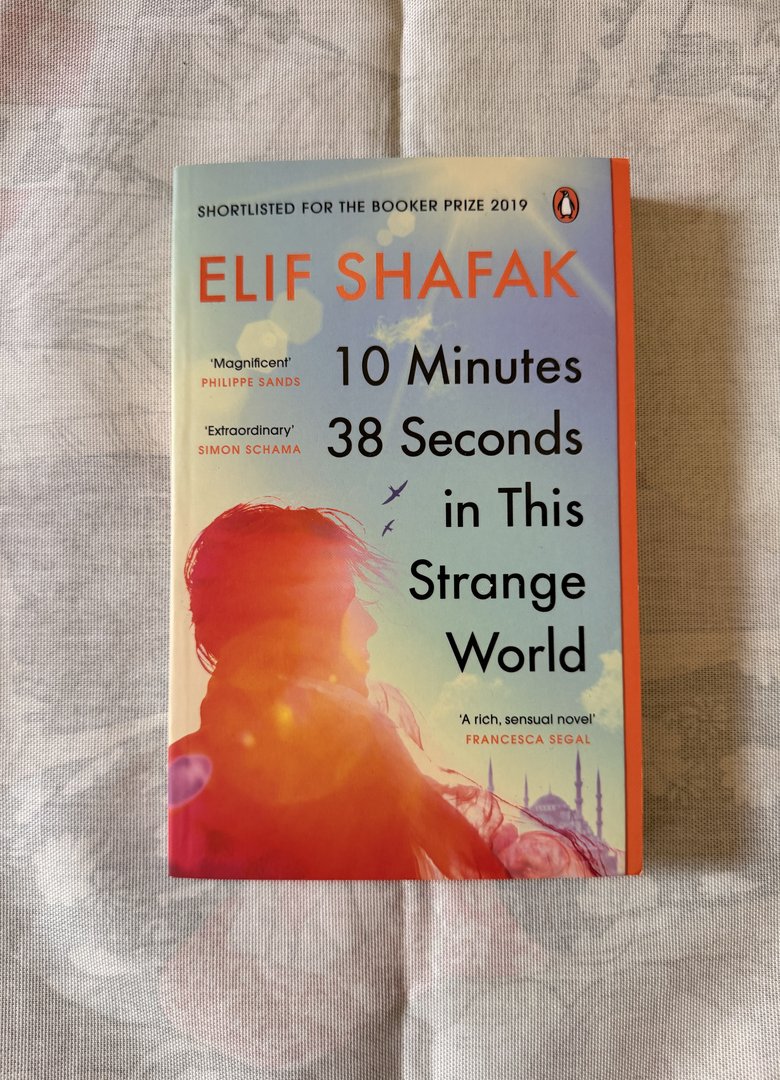 10 Minutes 38 Seconds in This Strange World cover